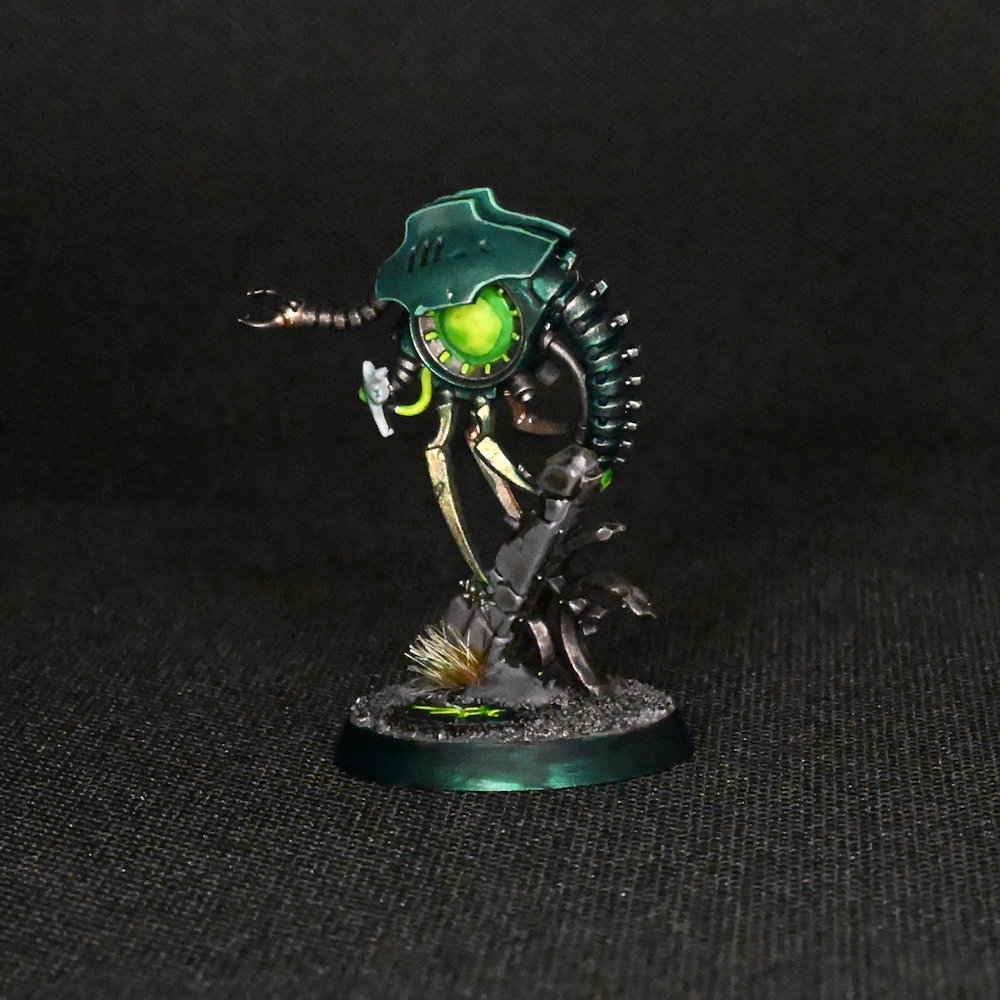 Plasmacyte (2025-062)